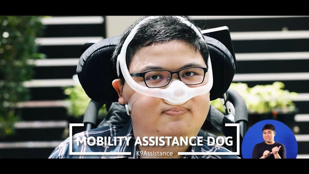 K9Assistance - Mobility Assistance Dog Video Thumbnail