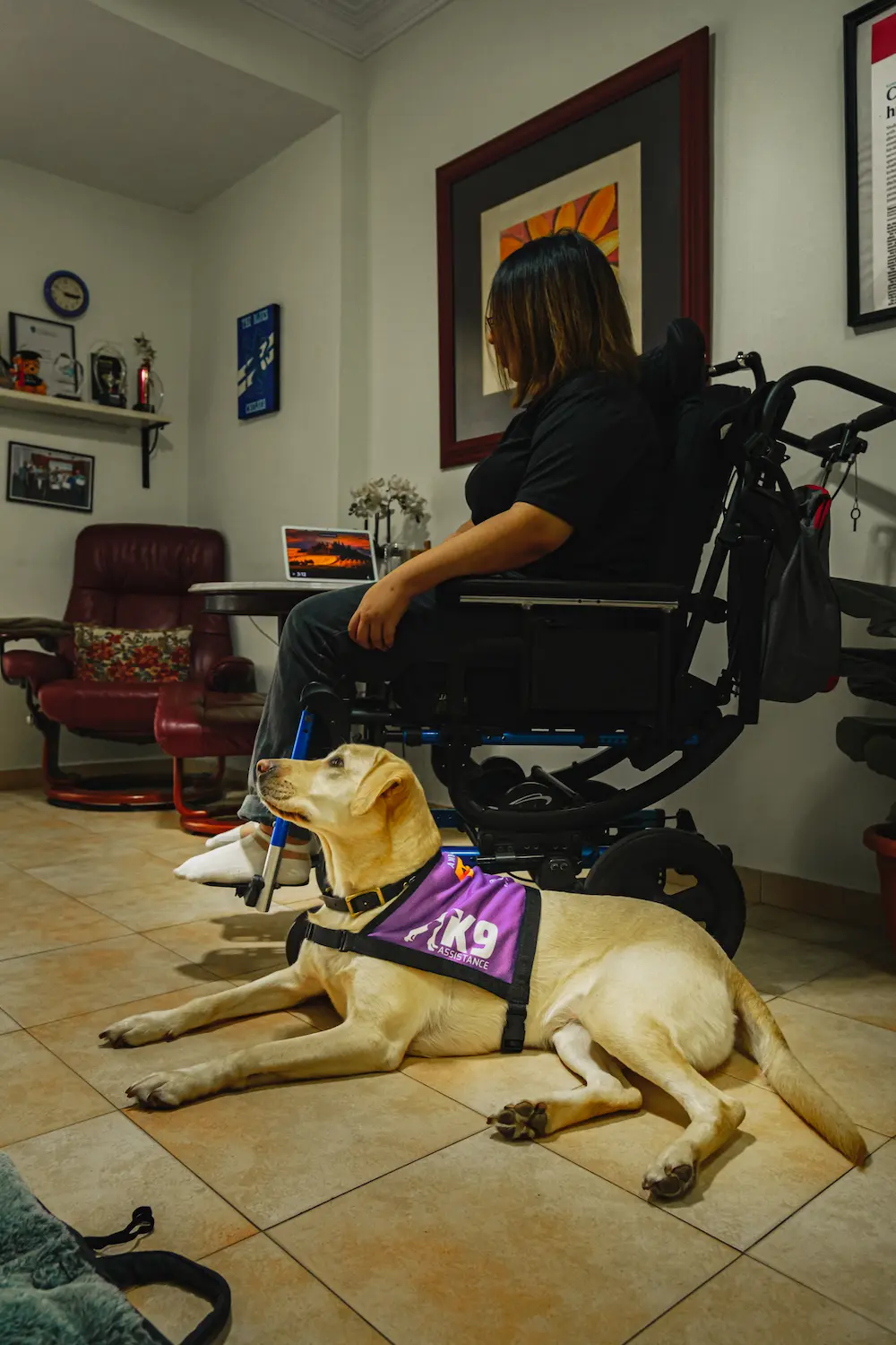 An Assistance Dog laying down next to and looking up at its handler, who is seated in a wheelchair. The pair are within a home environment.
