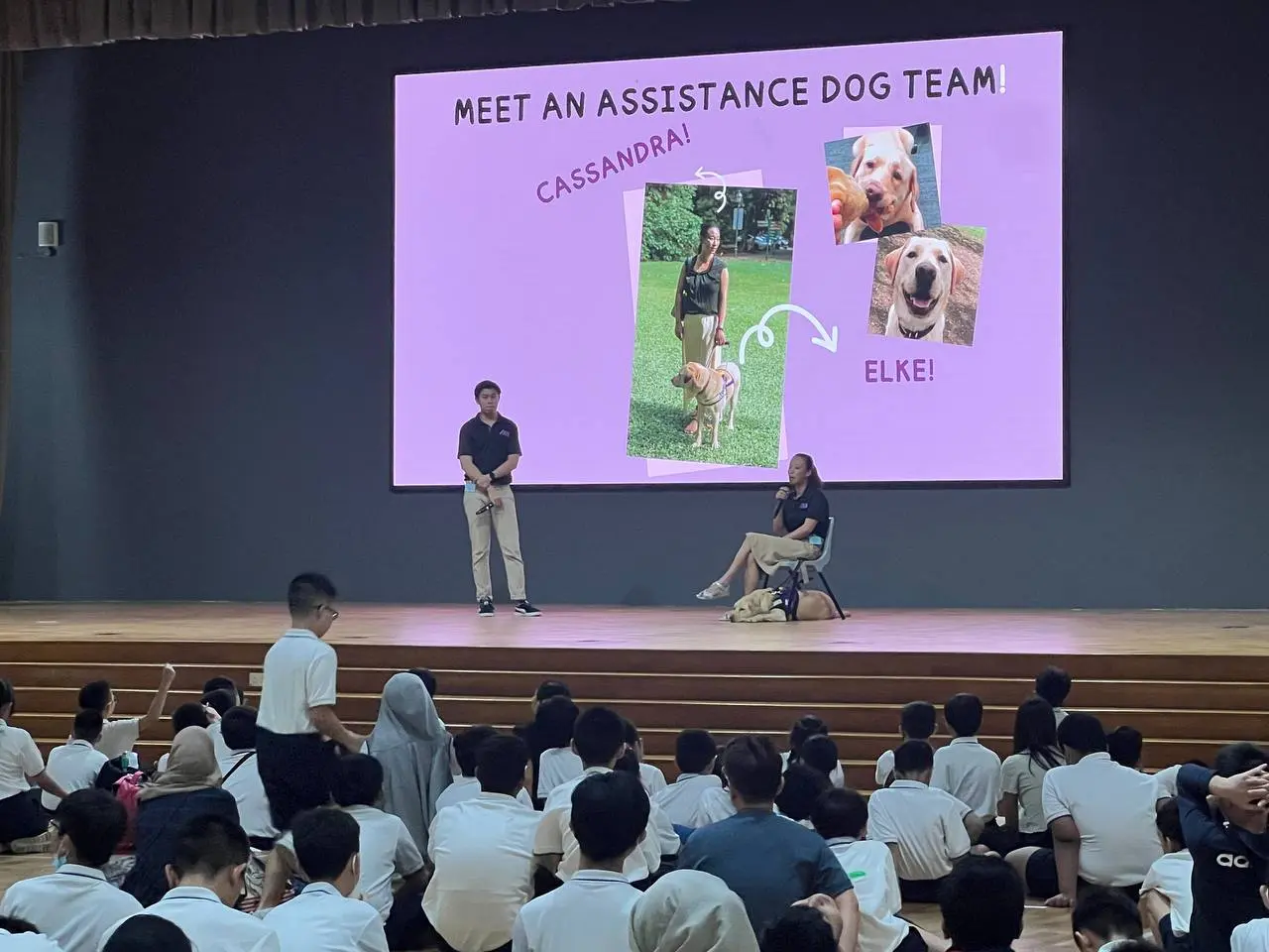 K9 Assistance Executive Director speaking at an Assistance dog awareness event