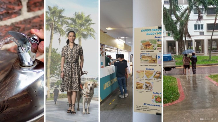 A Kind Take: Public water coolers, assistance dogs, cafes with a difference and kindness during wet weather