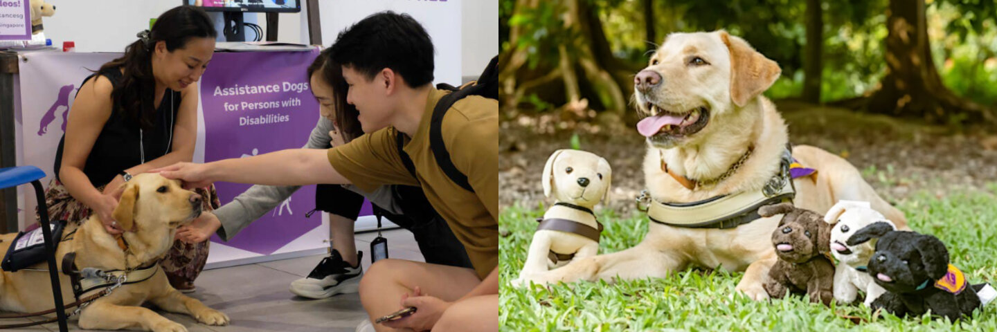 K9 Assistance organising walk at Marina Bay in support of assistance dogs and their handlers with disabilities