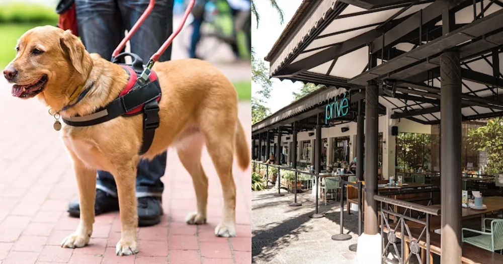 The Privé Group now allows assistance dogs in all 14 restaurants across S'pore