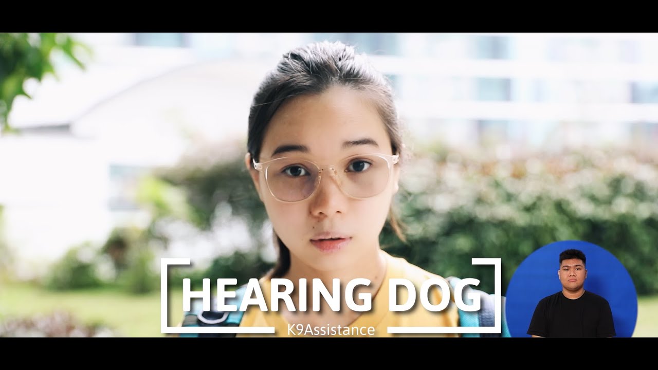 K9Assistance - Hearing Dogs Video Thumbnail