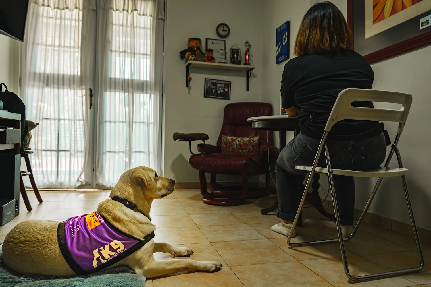 An Assistance Dog laying down next to its handler, who is seated on a chair. They are in a home environment.